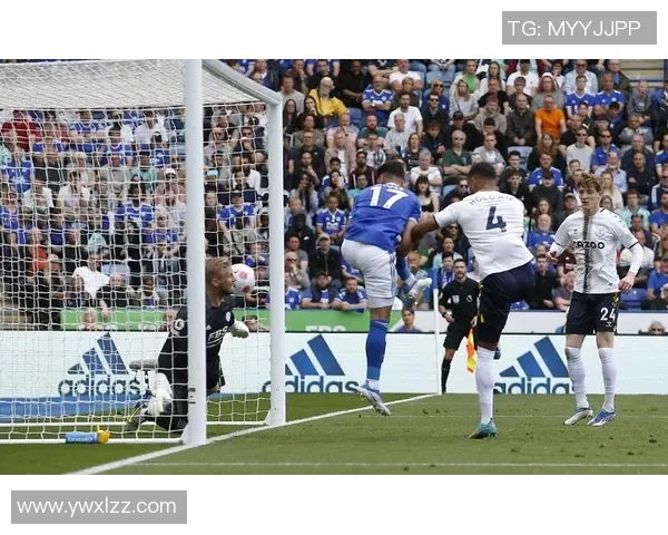 埃弗顿主场迎战莱斯特城争夺英超宝贵三分的激烈对决