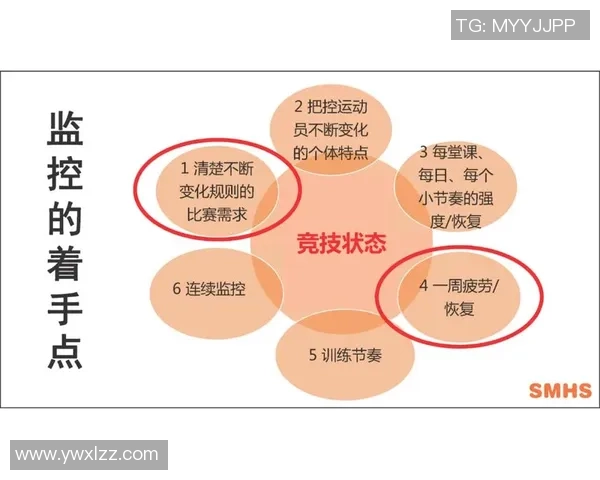 V5在精英赛中的表现分析与状态评估探讨