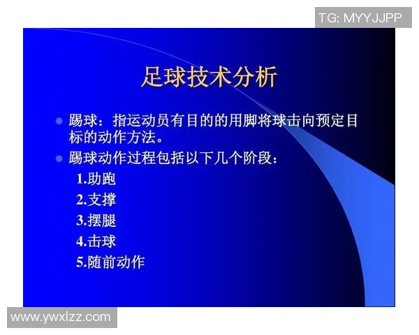 广州足球队灵活性分析与战术适应性研究探讨