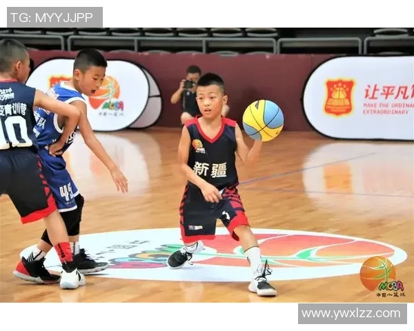 西湖篮球明星：从校园到职业的奋斗与梦想之路