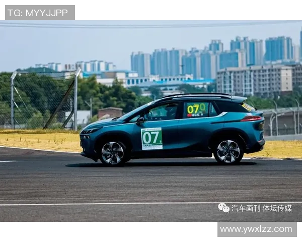 北京排球队耐力表现创新高引发关注排球耐力排名再攀新高峰