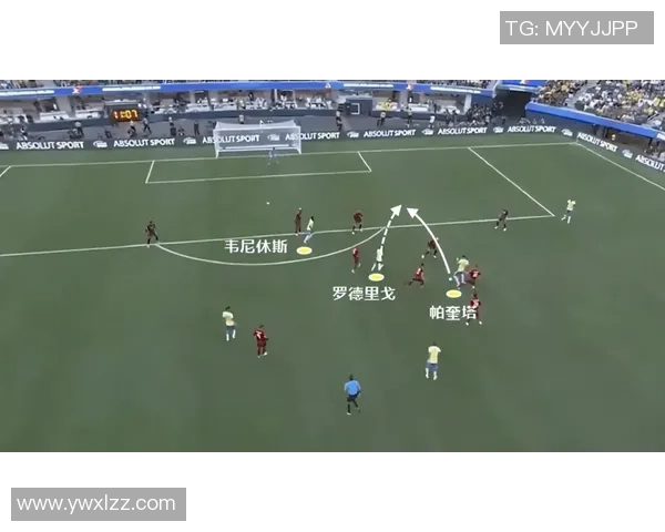 深圳排球队区域防守体系解析与战术应用研究