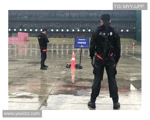 西安极限运动队的战术革新与转型分析